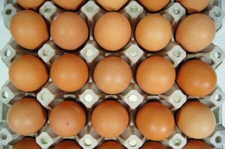 Egg in the table.