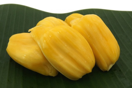 the healthy jack fruit