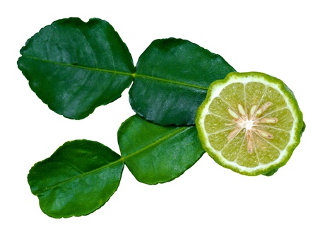 Kaffir lime on white backgroundの写真素材