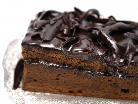 Chocolate cake on white backgroundの写真素材