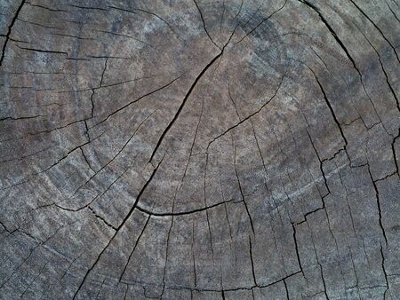 Wood - texture