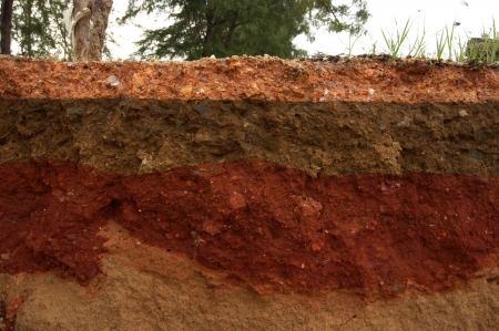 Road erosion from storms and waves.