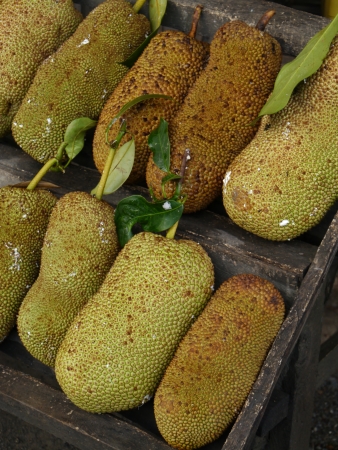 Jackfruit