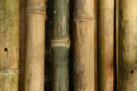bamboo bridge.の写真素材