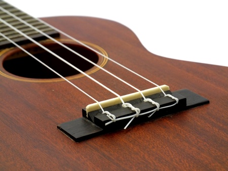 hawaiian traditional instrument ukulele