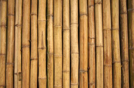 Bamboo wallの写真素材