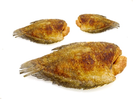 fried fish on whiteの写真素材