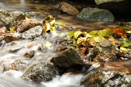 The small waterfall and rocks, thailandの写真素材