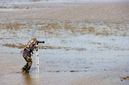 wildlife photographer outdoorのeditorial素材