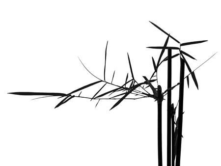 Black silhouette of bamboo leaves.の写真素材