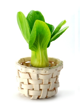 Bok choy (chinese cabbage) isolated on whiteの写真素材