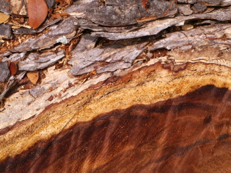 texture of wood for furniture making