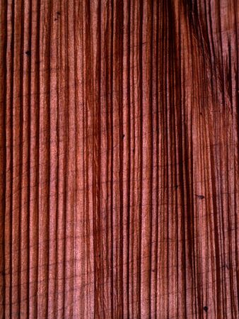 Patterned surface of the bark.の写真素材