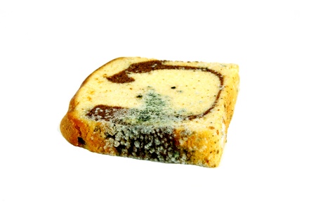 Moldy sliced bread loaf over a white backgroundの写真素材