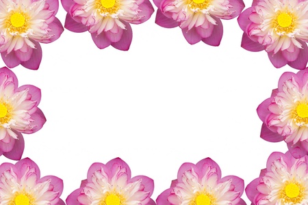 Pink Beautiful lotus flower. Buddhist religious symbol.の写真素材