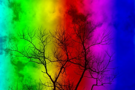 Silhouettes dead trees with clouds background.の写真素材