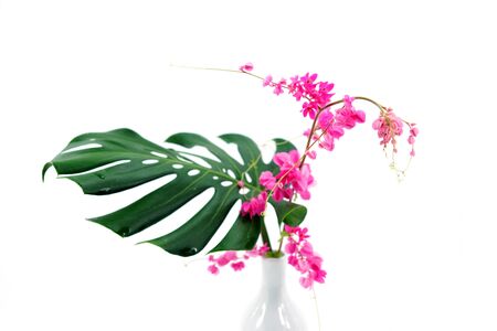 Pink flowers and green leaves in a vase.の写真素材