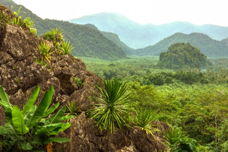 Forests and mountains.の写真素材