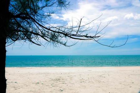 The beach with a blue sky and clouds.の写真素材