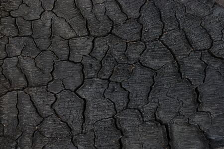 Surface of charcoal.の写真素材