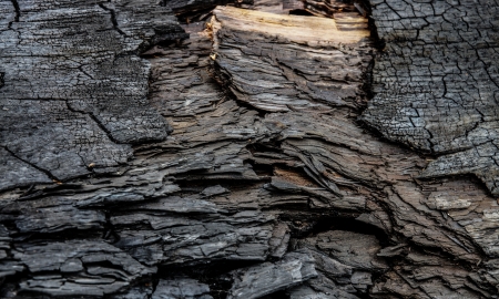 Surface of charcoal.の写真素材