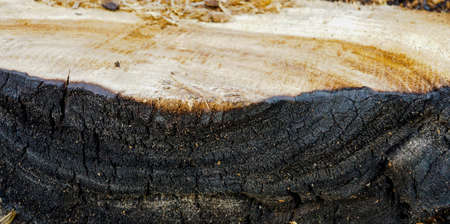 surface of charcoalの写真素材