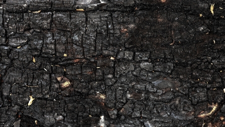 surface of charcoal