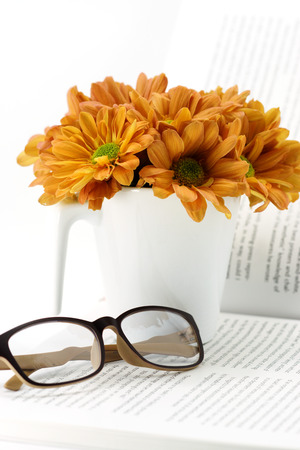 orange chrysanthemum on bookのeditorial素材