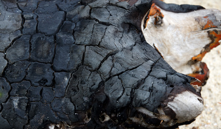 surface of charcoalの写真素材