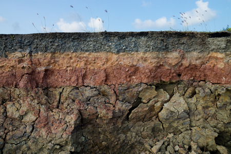 The curb erosion from storms  To indicate the layers of soil and rock 