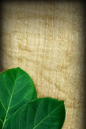 Leaves on the fabric background.の写真素材