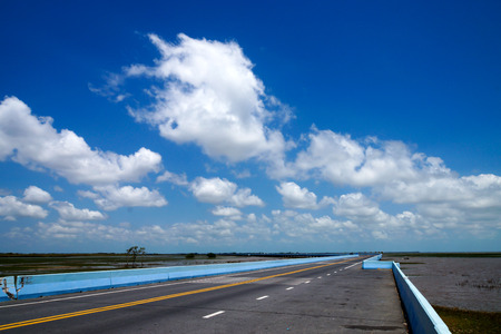 Empty road and the yellow traffic lines の写真素材