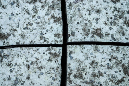 Mud were splitの写真素材