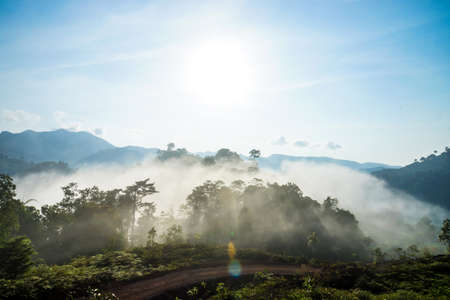 Sunrise at the fog mountains in the summer.の写真素材