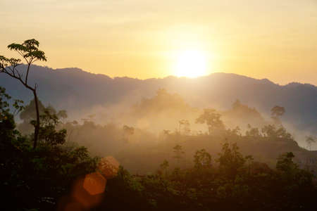 Sunrise at the fog mountains in the summer.