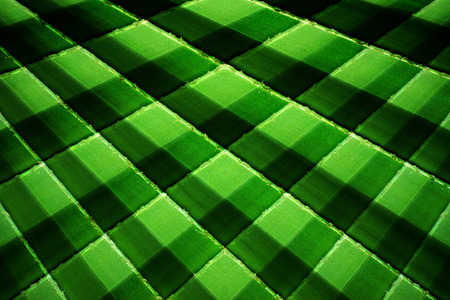 Texture of Green palm Leafの写真素材