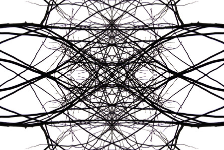 Silhouette branchesの写真素材