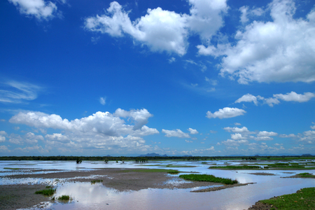Wildlife sanctuaries of southern Thailand.の写真素材