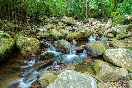 Small waterfall in forest. Pliw waterfall National Park Nakhon Si Thammarat, Thailand.