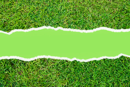 Green artificial turf pattern ,texture for backgroundの写真素材
