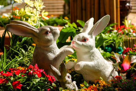 Handmade rabbit dolls on the flower の写真素材