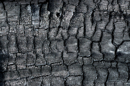Details on the surface of charcoal.の写真素材