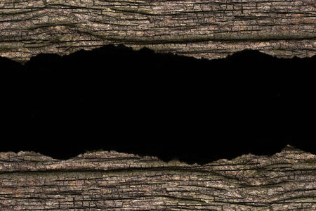 Black space on old wood textureの写真素材