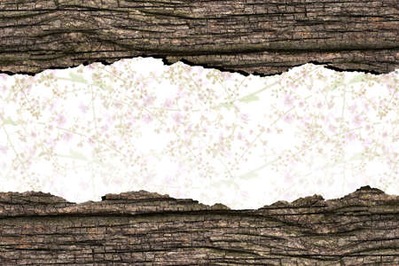 Flowers glow in old wood textureの写真素材