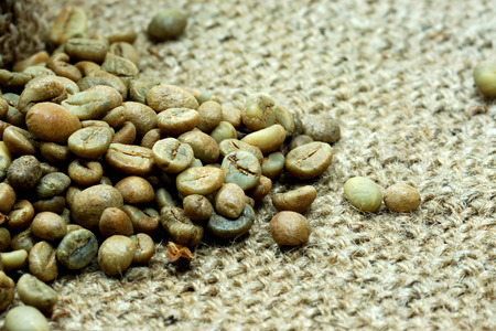 Raw coffee beansの写真素材