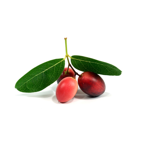 Super fruit and herbs.(Carissa carandas Linn.)