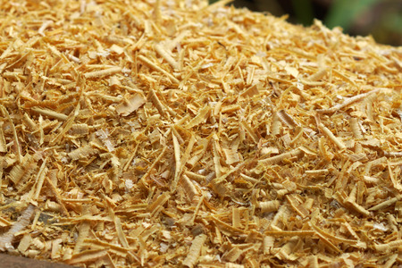 Wood Sawdust