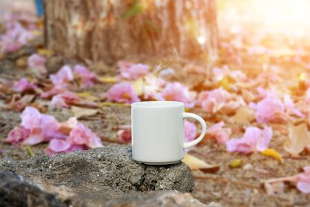 morning coffee on the beach.の写真素材