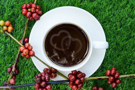 Coffee and raw coffee beans on artificial grass.の写真素材