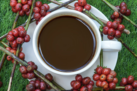 Coffee and raw coffee beans on artificial grass.の写真素材